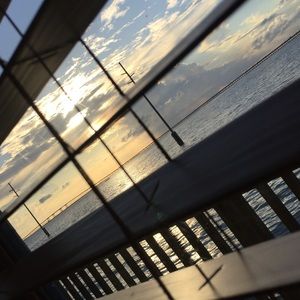 Meet your Posher, Marlene